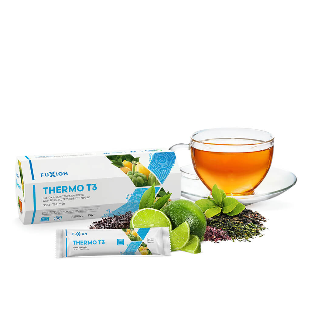 THERMO T3